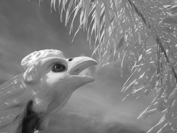 Thailand_OctNovDec_2010_Ayutthaya_Infrared_2672 - Copy.jpg